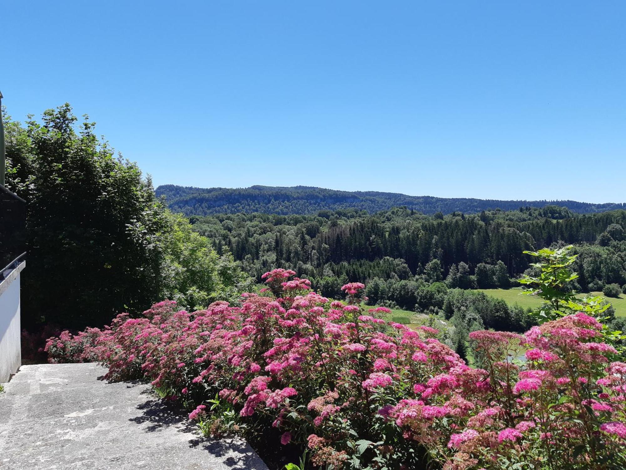 Les Alpages Hotel Bonlieu Bagian luar foto
