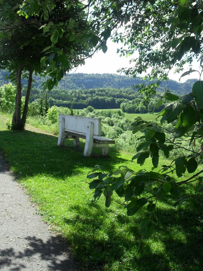 Les Alpages Hotel Bonlieu Bagian luar foto